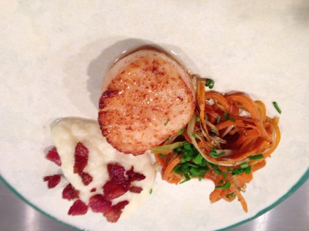 bild- pilgrimsmussla