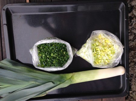 bild_purjolök släng