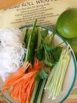 bild-140415 vårrulle