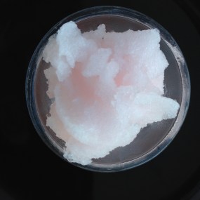 rabarber och grangranité 2