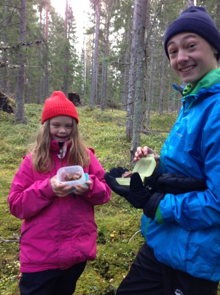 K o S på godisjakt