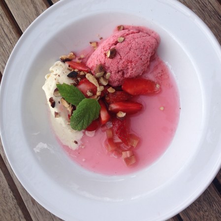 rabarber jordgubb smultron mandel sonsomme sorbe och glass