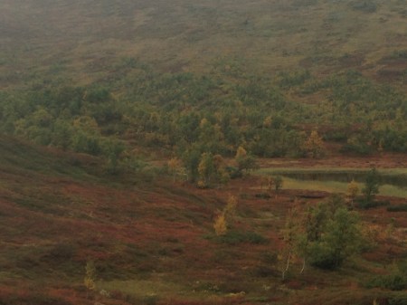 Blåhammaren sep 2014-fjäll höstfärg s