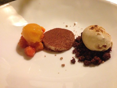 Blåhammaren sep 2014_ hjortronsorbe sötost getmeseglass på saltchoklad smul