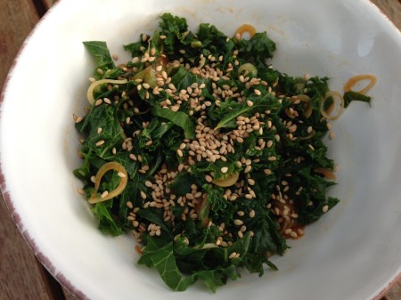 GRÖNKÅL, SOYA, SESAMOLJA, VATTEN, GOcHUJANG, LUFTLÖK